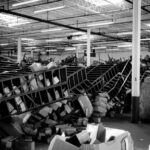 Warehouse Shelving & Rack Collapse