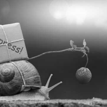 Labor Disputes May Impact Small Parcel Delivery