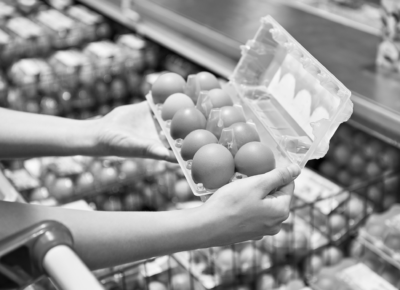 How Egg Production Affects The Supply Chain