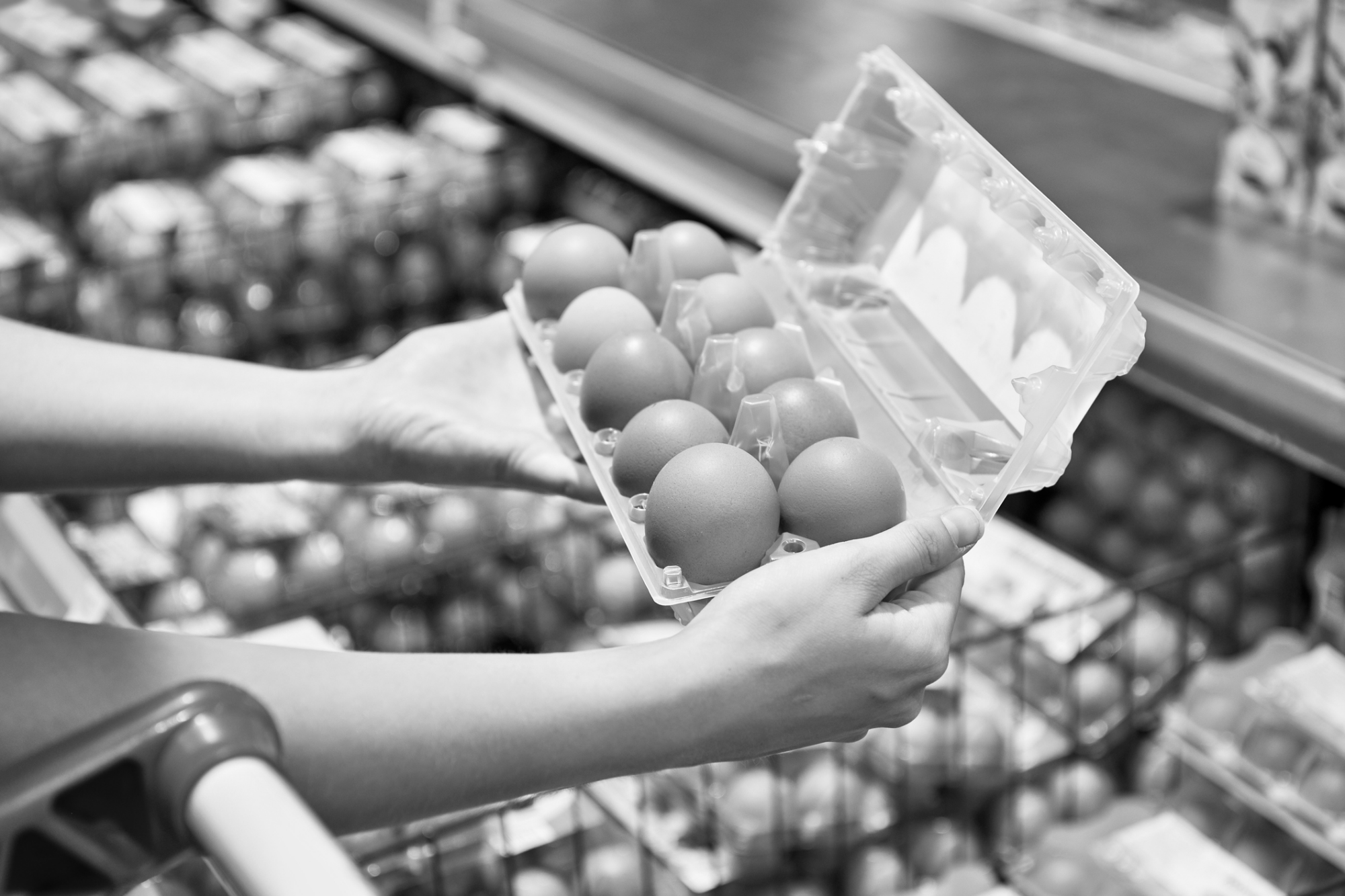 How Egg Production Affects The Supply Chain