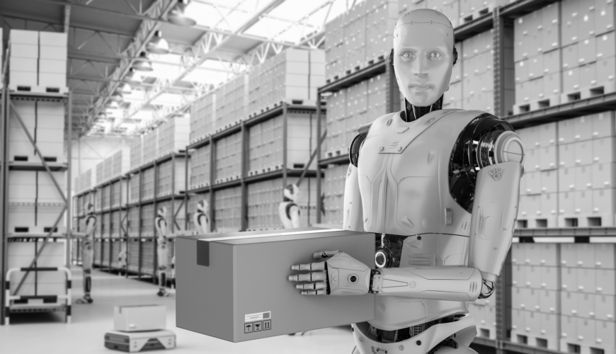 Humanoid Robots in Warehouse Operations