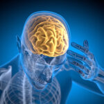 The Definition of “Data Cortex” in Supply Chain Context