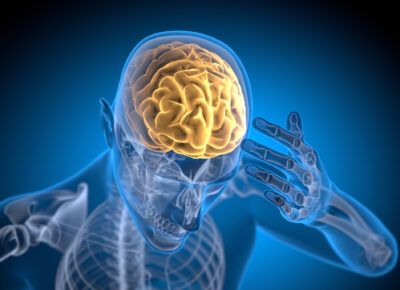 Data Cortex in Supply Chain