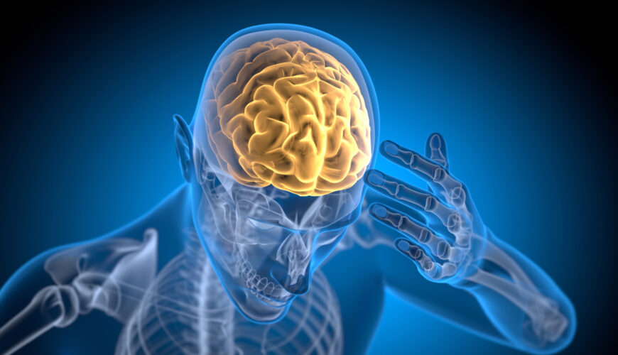 Data Cortex in Supply Chain