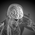 The Definition of “Data Cortex” in Supply Chain Context