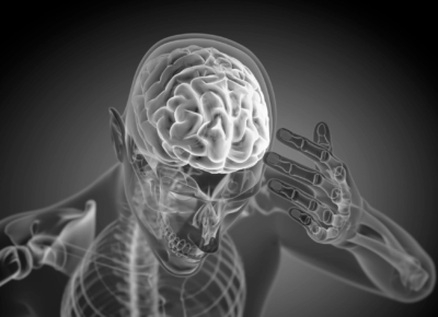 Data Cortex in Supply Chain