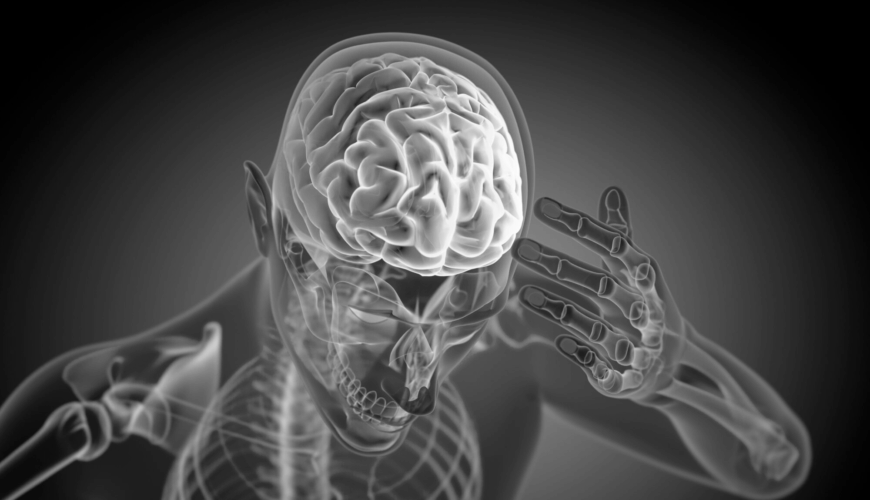 Data Cortex in Supply Chain