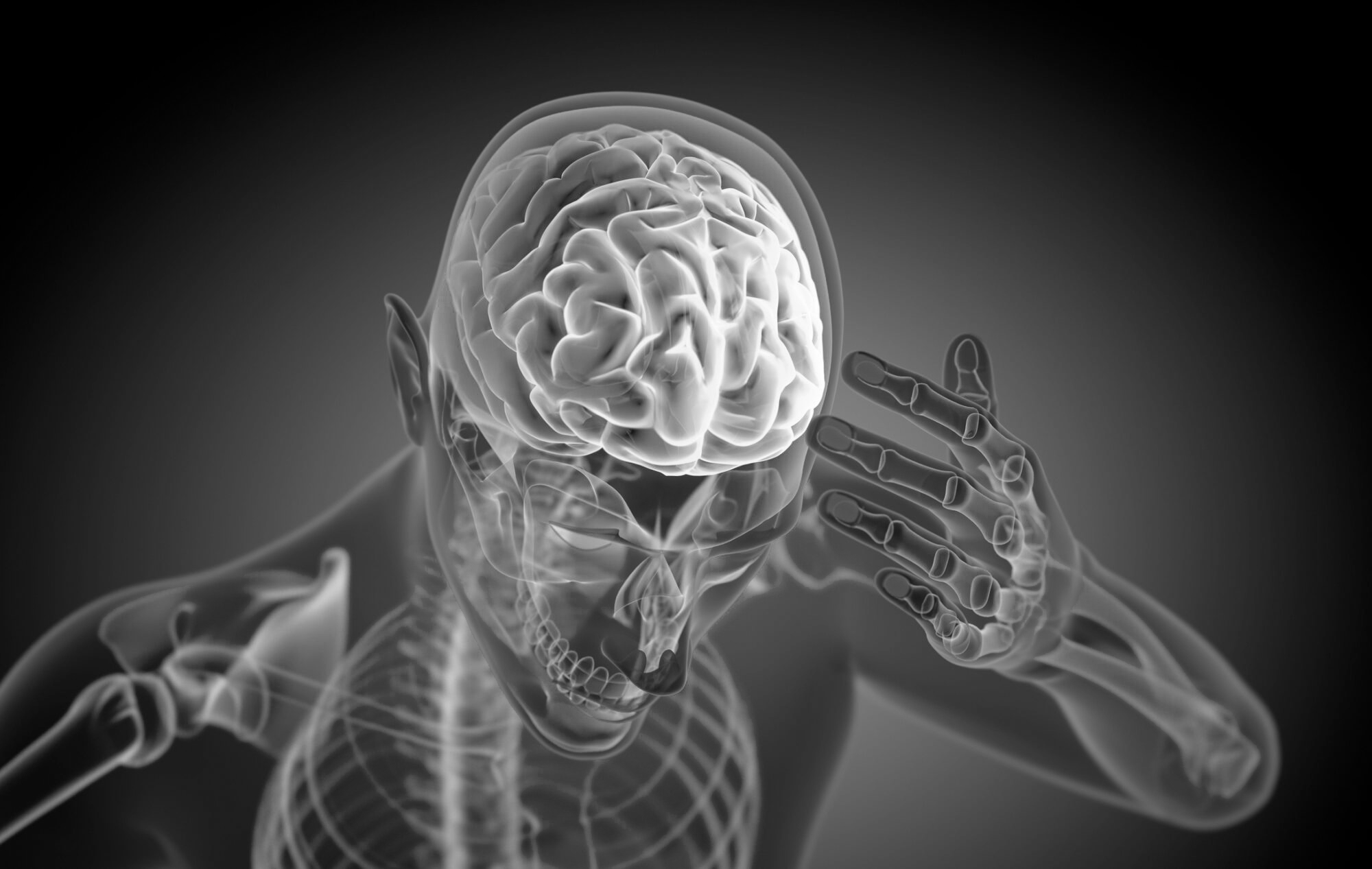 The Definition of “Data Cortex” in Supply Chain Context