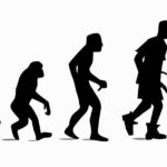 Supply Chain Evolution: Adapt or Become Obsolete