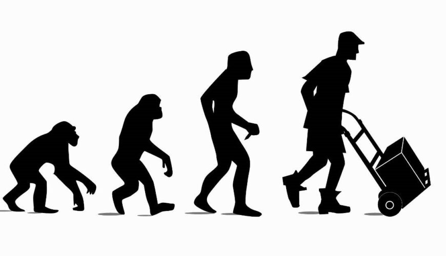 Supply Chain Evolution